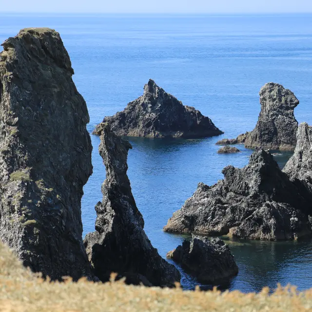 721100_nature_-_arts_-_aiguilles__de_port_coton_-_bangor_-_4_saisons_-_karine_piquet_-_2021_5