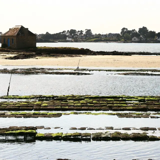 7chemins_detournes_ostrea
