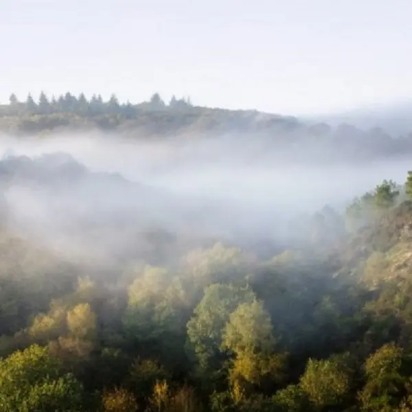 panorama-val-sans-retour-balade-contée-Brocéliande