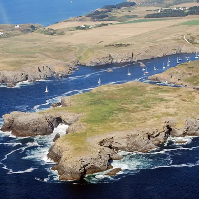 Réserve ornithologique de Koh Kastell - Sauzon - Belle-Ile - Morbihan Bretagne Sud