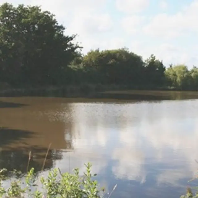 Aire Naturelle du Listy, étang