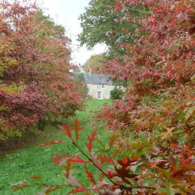 Jardin-Le-Grand-Courtil-st-nolff-morbihan-bretagne-sud