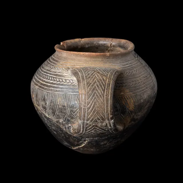 Poterie campaniforme