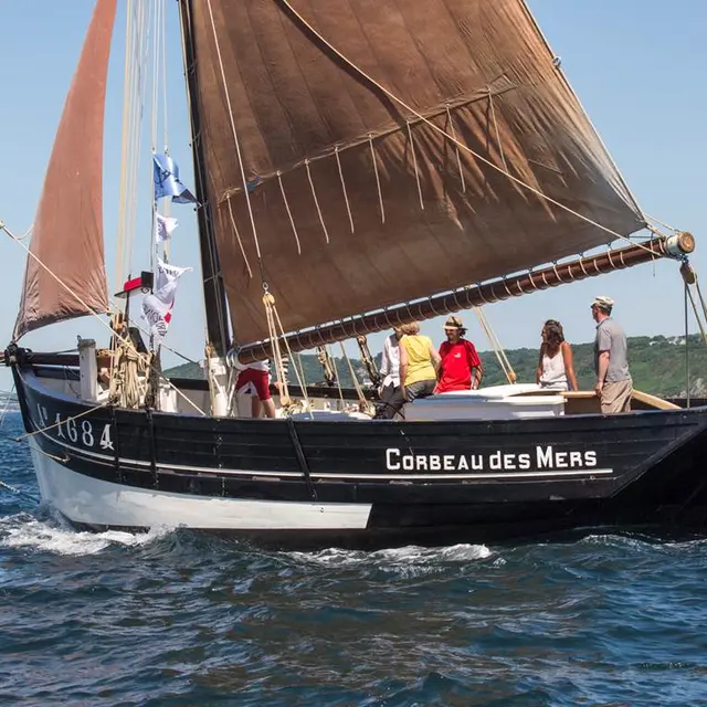 Corbeau-des-Mers-Vannes-Golfe-du-Morbihan-Bretagne Sud