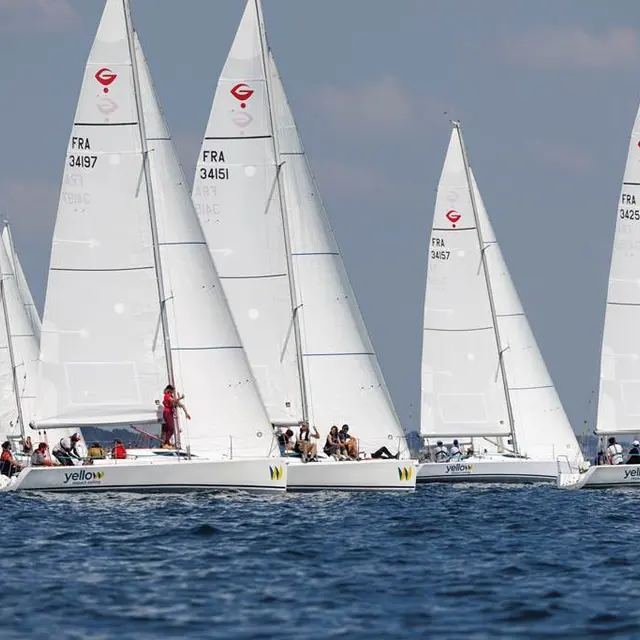 Yellow Impact Sailing