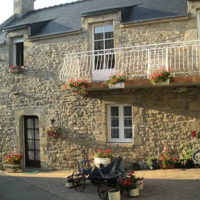 056MS000490_Rollando_DSCN3259