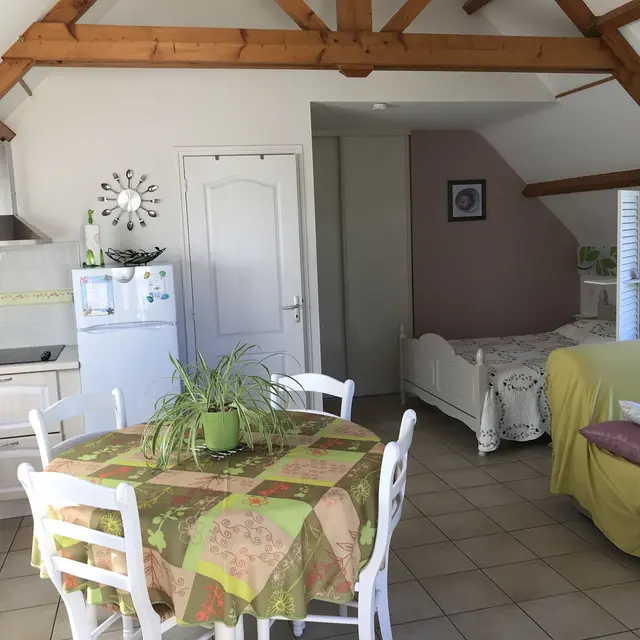 056MS000507_JUDE_IMG_0009