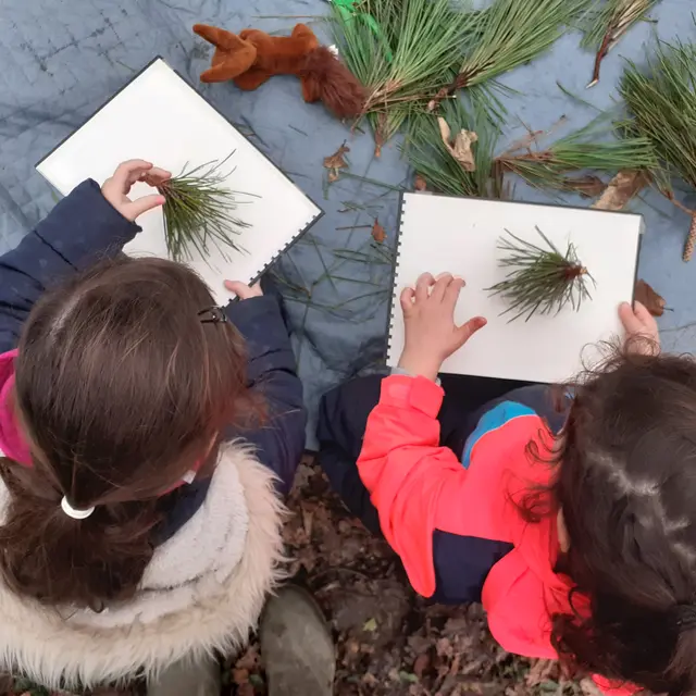 Balade contes et créations de nature