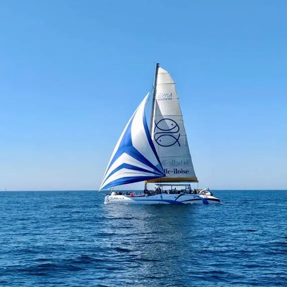 IliensQuiberon1