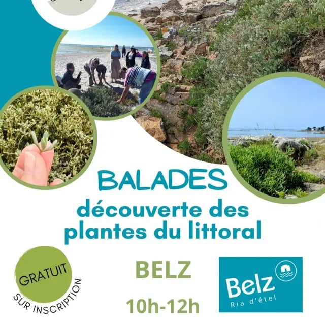 Incroyables chemins