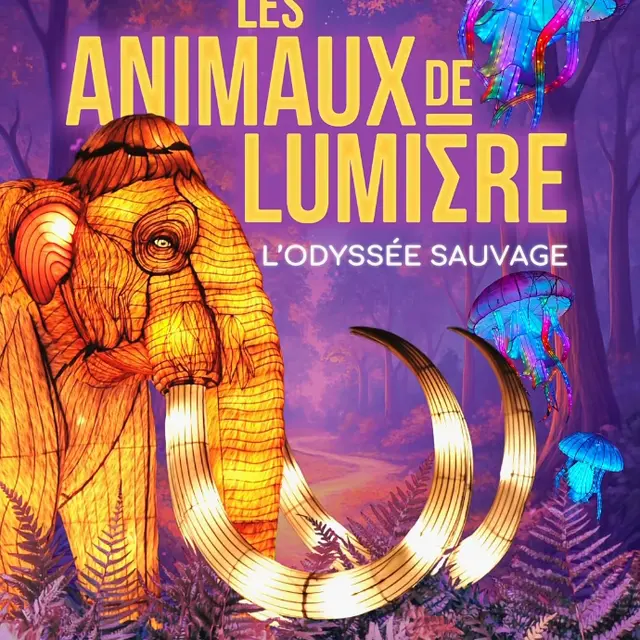 Les animaux de lumière