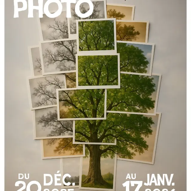 2025_2026_Decembre_Janvier_Guiscriff_Expo_Photos