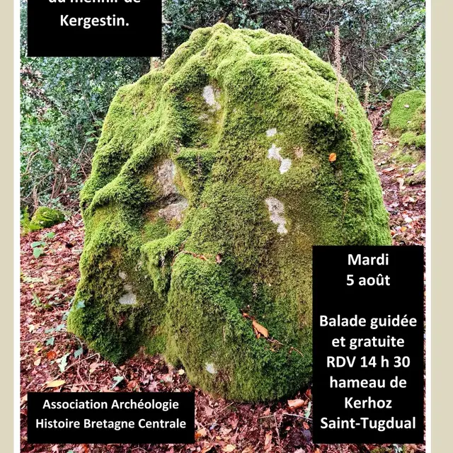 2025_Aout_Saint_Tugdual_Visite_Patrimoine_Menhir_Kergestin