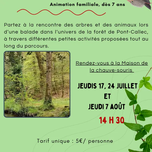 Visuel animation 2025 - l’appel du sauvage   14h30