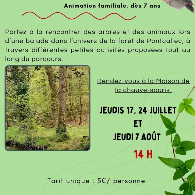 Visuel animation 2025 - l’appel du sauvage