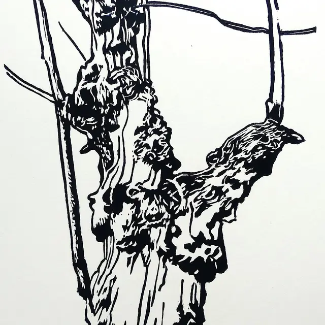 2025_Ete_LeFaouet_Expo_Le_Temps_Vivre