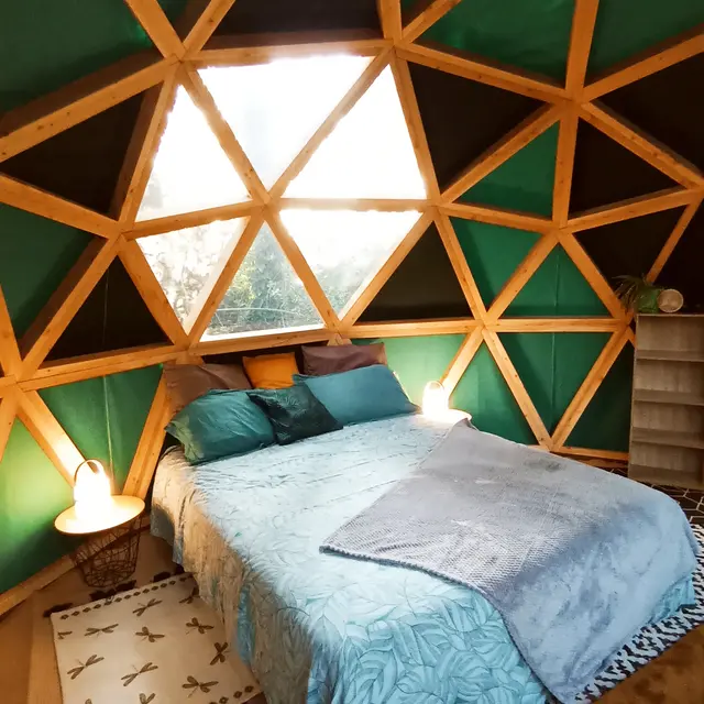 2025_HLO_BDC_COLLECTE_TY_COED (3)