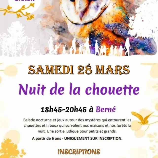 2026_Mars_Berne_Nuit_Chouette