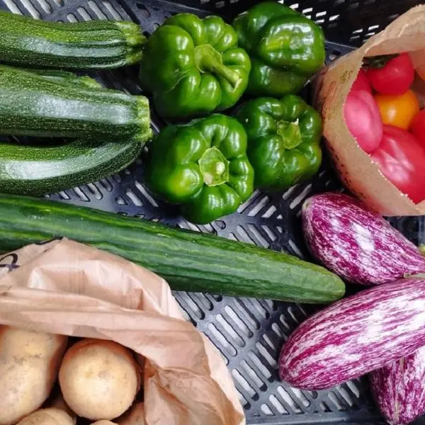 drive - paysans bio - paniers produits locaux - légumes de saison - Ploërmel