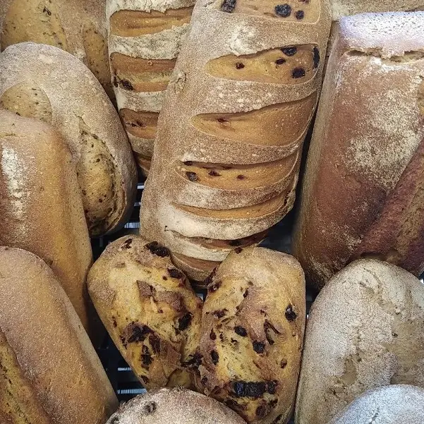 la ferme aux pains - producteur farine - pain - Taupont - Morbihan