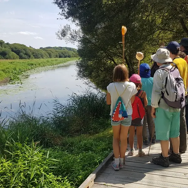 balade_contes_nature_CPIE_Concoret_DestinationBroceliande