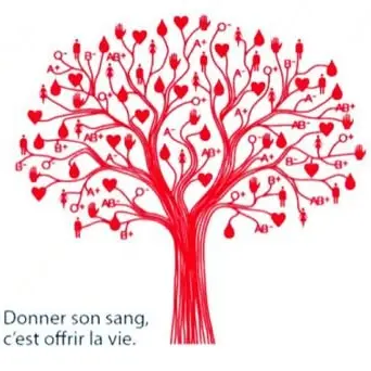 2265-1765743579-642789@1200