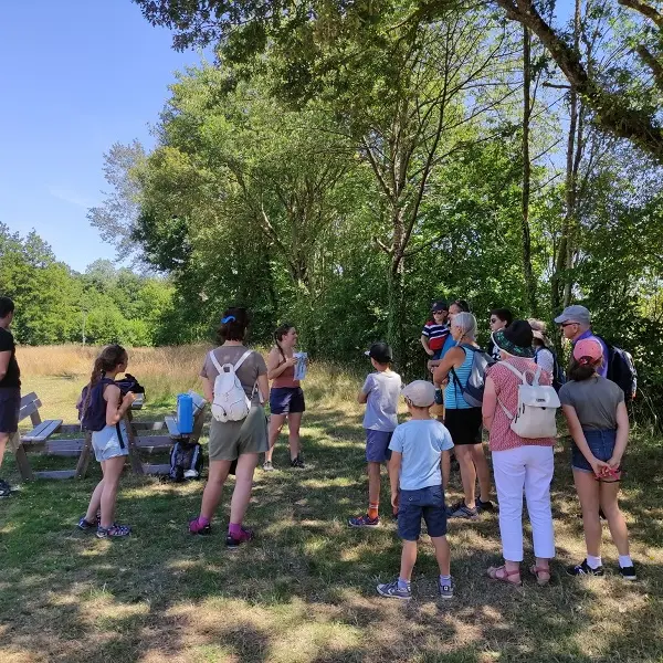 sortie nature - Brocéliande - Ploërmel Communauté