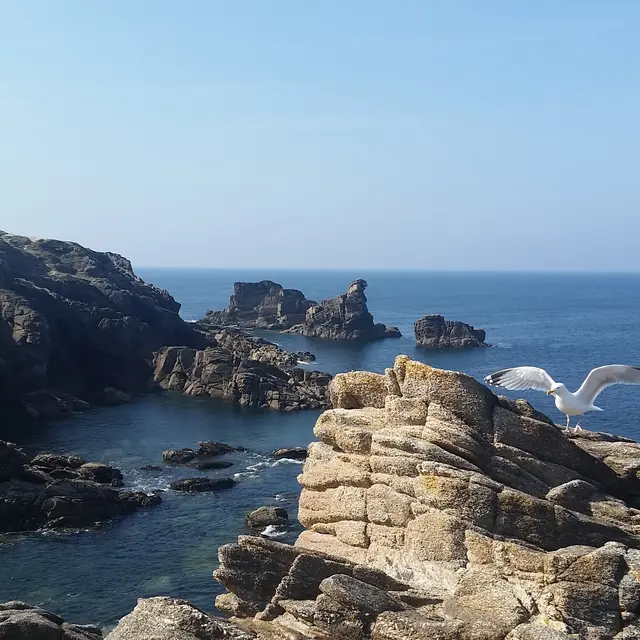 Qubtao