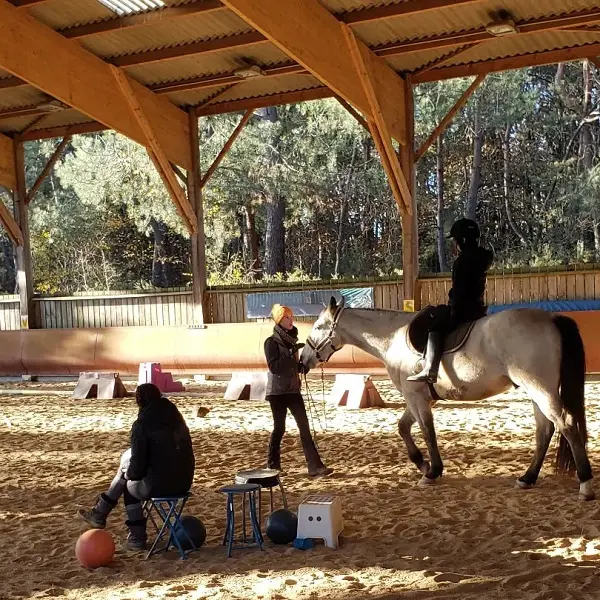 Chevaux_de_Brocéliande_centre_équestre_Tréhorenteuc