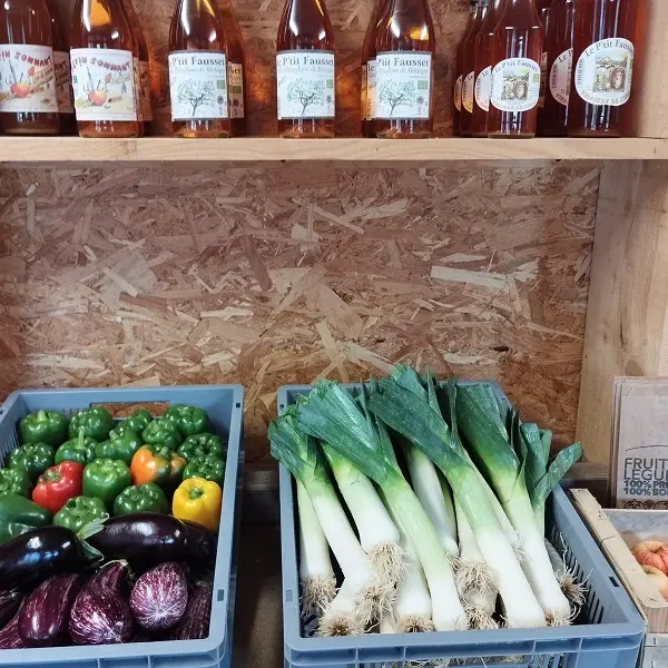 boutique_epicerie_maraichage_bio_ferme_coetbily_meneac_DestinationBroceliande