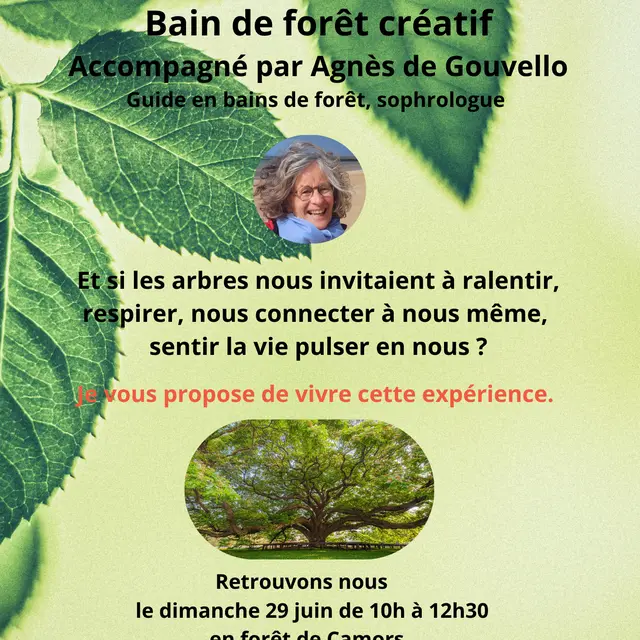 Par la grâce des arbres