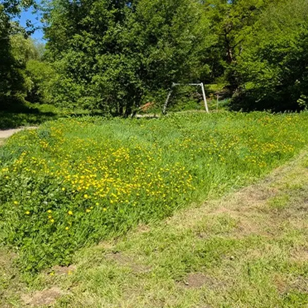 Balade nature “Gestion différenciée”