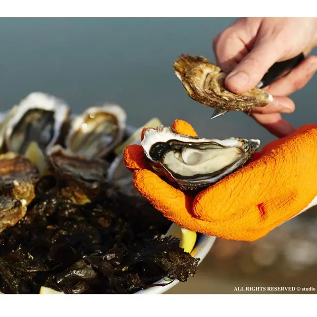 Les-Viviers-de-Banastère-Le-Tour-du-Parc-Presqu'île-de-Rhuys-Golfe-du-Morbihan-Bretagne sud