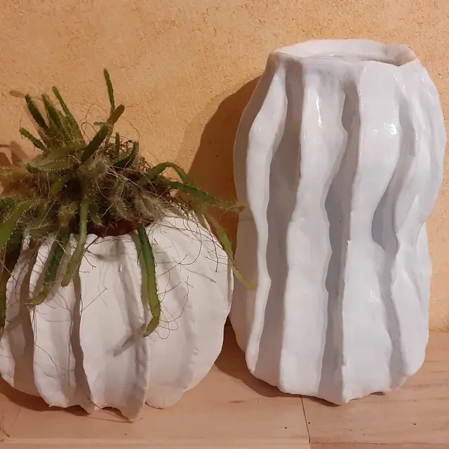 vases vernis avec plante