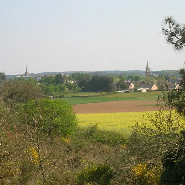 vue-sur-St-jacut-les-pins