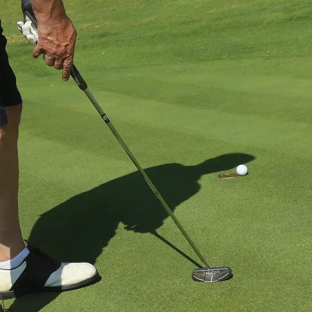 woodypino-golf-1866100_1280©Josef_Pichler_Pixabay