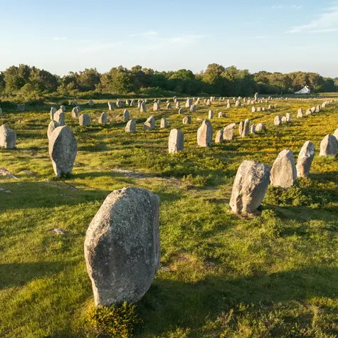 Le Trail des alignements de Carnac - Mégalithes en fête