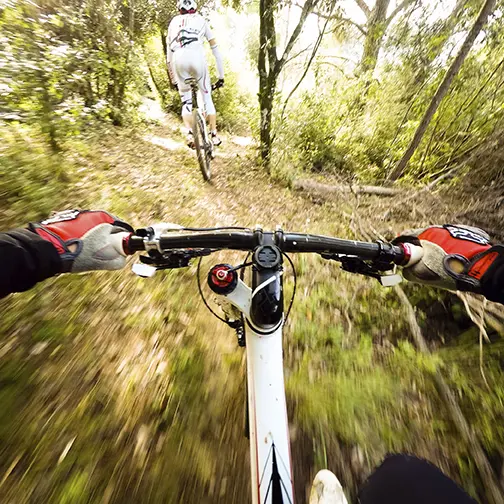 guidando la bicicletta nel bosco. coppia di ciclisti