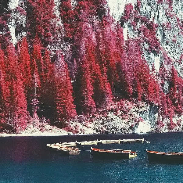 exposition - Aerochrome - Clément Bertin - lac au duc - Ploërmel - Morbihan