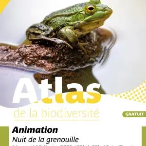 Affiche-ABI-fev26-saint-thuriau-scaled