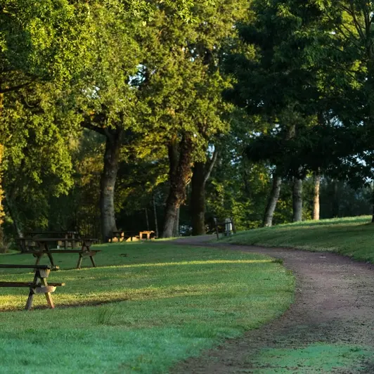 Aire de pique-nique_Paimpont