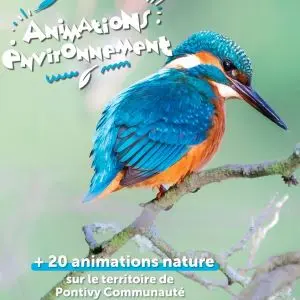 Animations environnement