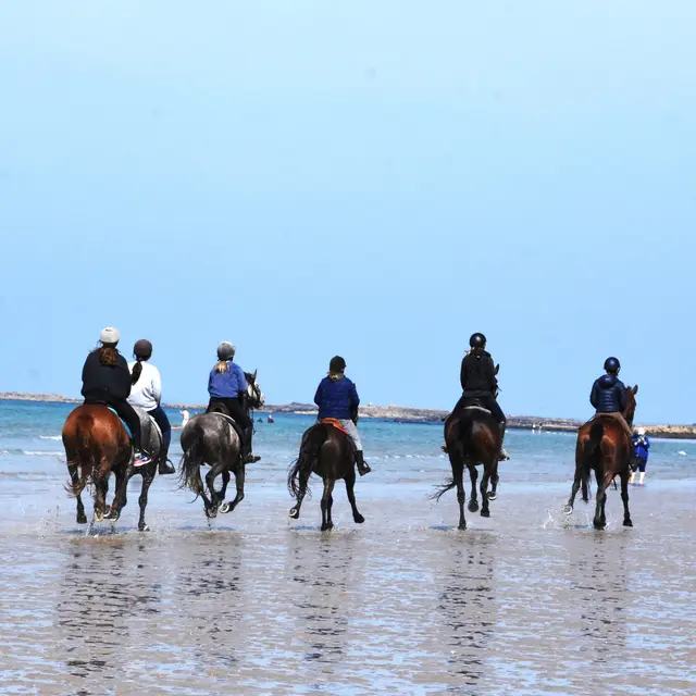 BALADE-PLAGE