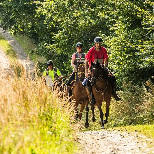 Balade à cheval groupe