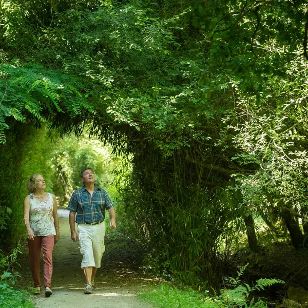 Jardin du Bois d'Amour - Josselin - Morbihan - Bretagne