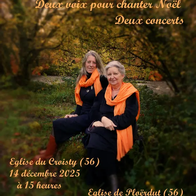 Affiche concerts
