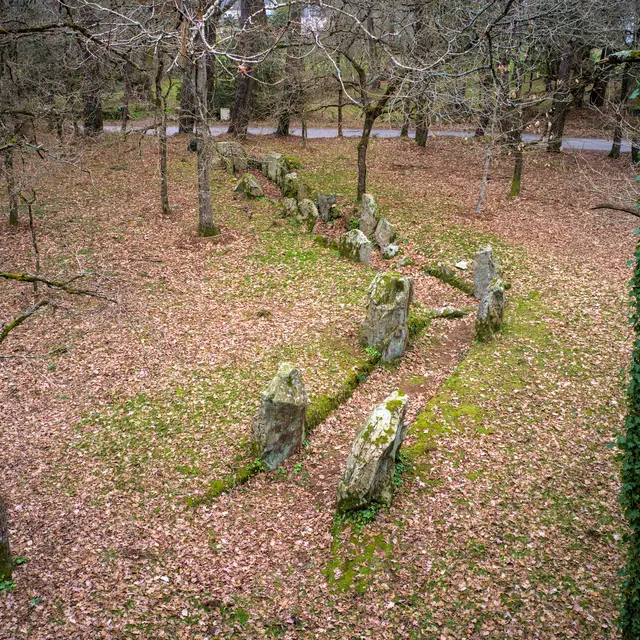 CRACH - Luffang (1).jpg_compressed