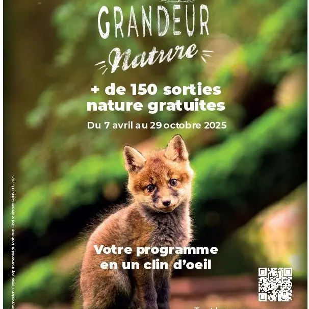 Morbihan - Grandeur Nature