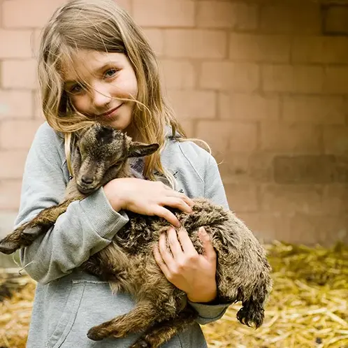 Recreaferme_Cleguerec