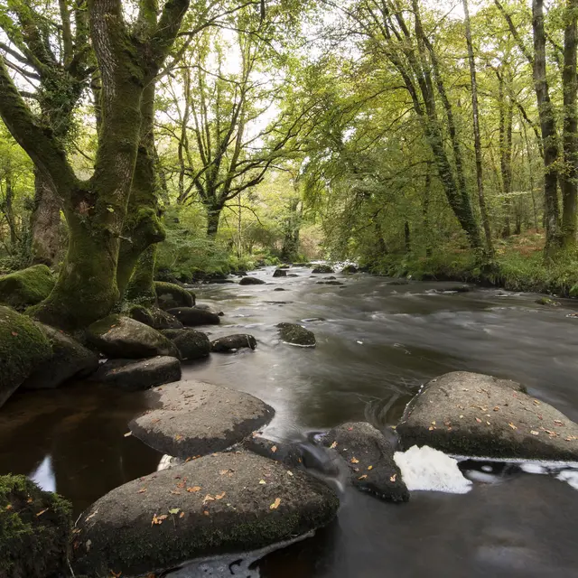 Chaos_Elle©Yohann_Hamonic